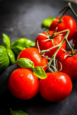 asma üzerinde domates