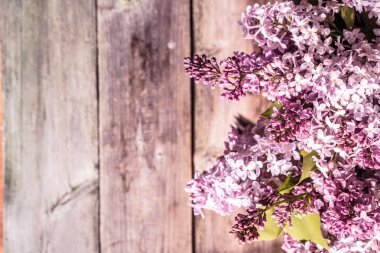 Leylak ahşap backgorund üzerinde