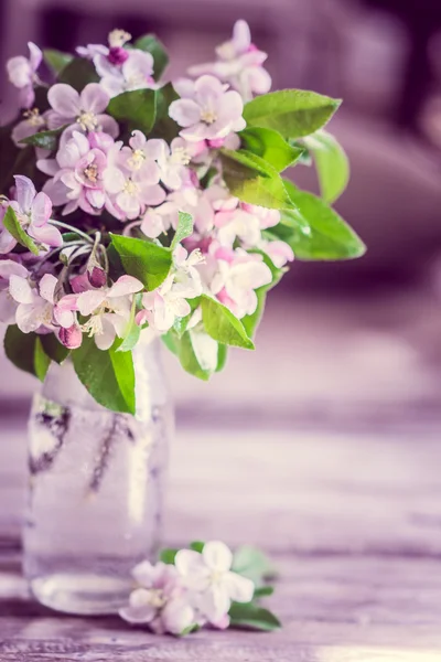 Bouquet of cherry flowers — Stock Photo, Image