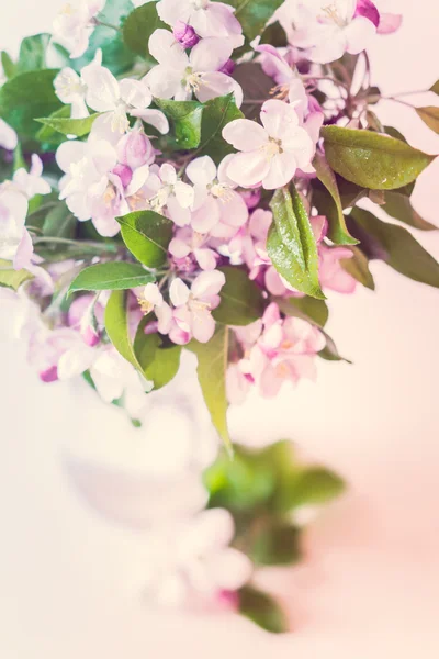 Bouquet di fiori di ciliegio — Foto Stock