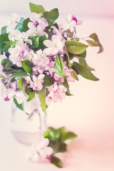 Boeket van cherry bloemen — Stockfoto