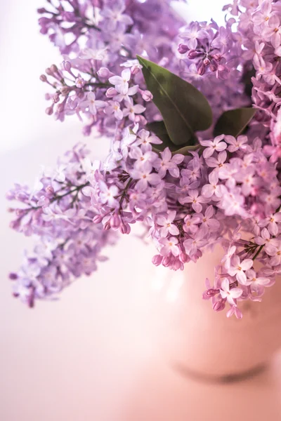 Bouquet of lilacs on wooden background — Stock Photo, Image