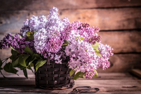 Bouquet of lilacs on wooden background — Stock Photo, Image