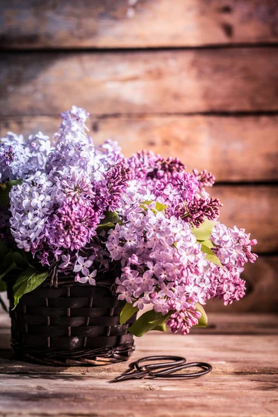 Bouquet of lilacs on wooden background — Stock Photo, Image