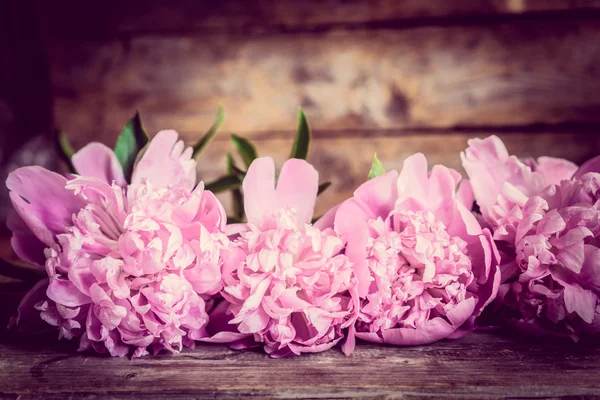 Pastel peonies — Stock Photo, Image