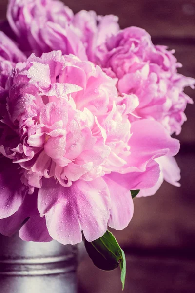 Pastel peonies — Stock Photo, Image