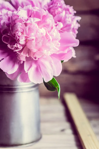 Peonie pastello — Foto Stock