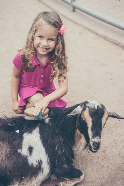 Linda chica con una pequeña cabra en una granja —  Fotos de Stock