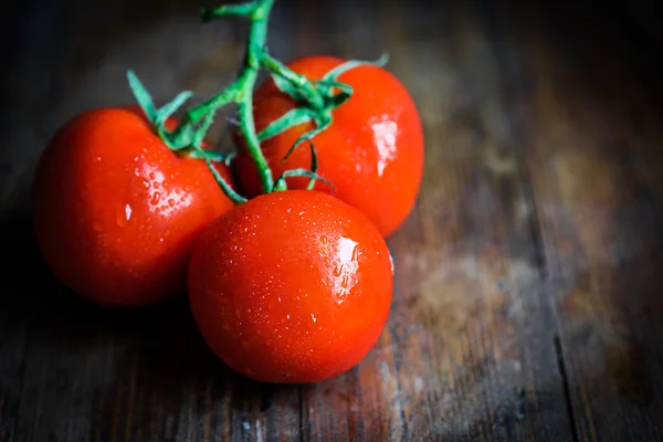 Tomates recién recogidos — Foto de Stock