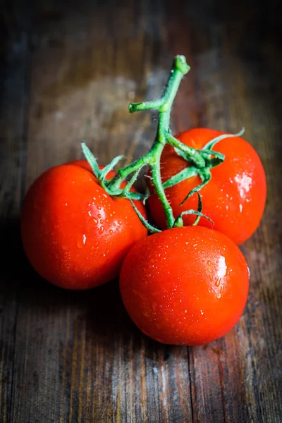 Taze çekilmiş domates — Stok fotoğraf