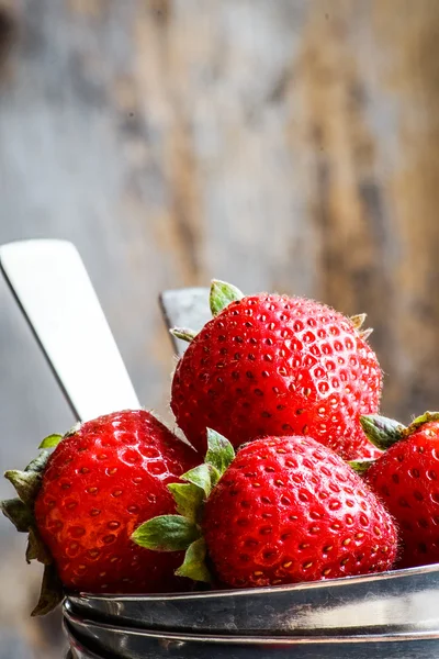 Closeup of fresh farm raised strawberries — Stock Photo, Image