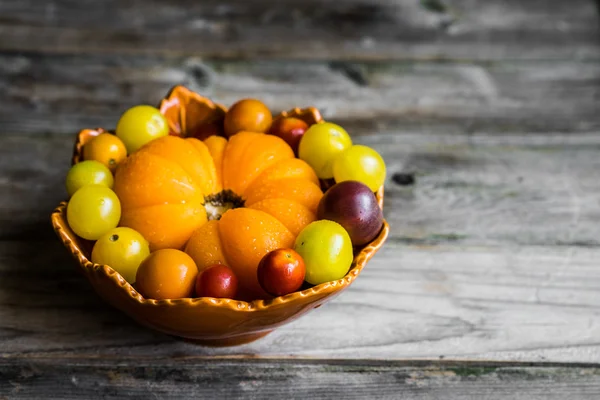 Fargerike arvetomater med jordbruksbakgrunn av tre – stockfoto