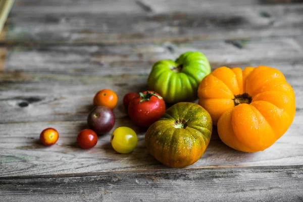 Tomates héritées colorées sur fond de bois rustique — Photo