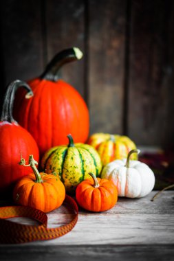 Rustik ahşap arka plan üzerinde renkli kabaklar