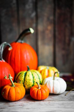 Rustik ahşap arka plan üzerinde renkli kabaklar