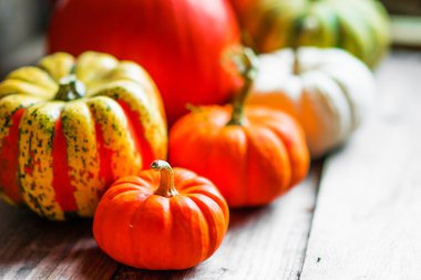 Rustik ahşap arka plan üzerinde renkli kabaklar