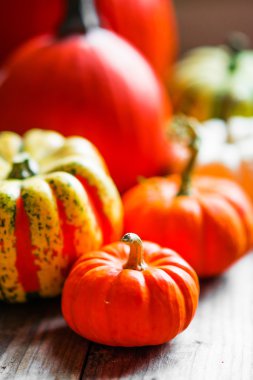 Rustik ahşap arka plan üzerinde renkli kabaklar