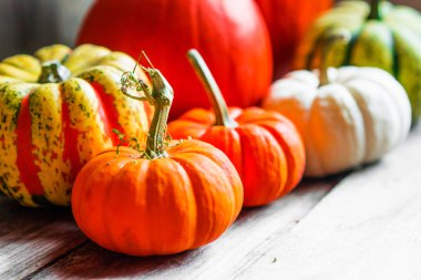 Rustik ahşap arka plan üzerinde renkli kabaklar