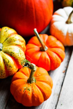 Rustik ahşap arka plan üzerinde renkli kabaklar