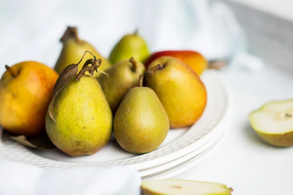 Autumn pears on white pastel background — Stock Photo, Image