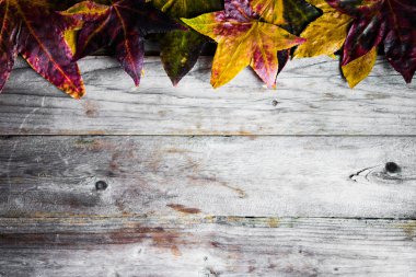 Rustik ahşap arka plan üzerinde renkli sonbahar yaprakları