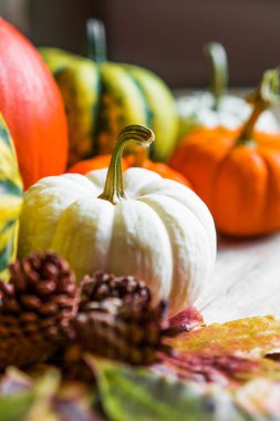 Renkli kabaklar ve rustik ahşap arka plan üzerinde sonbahar yaprakları