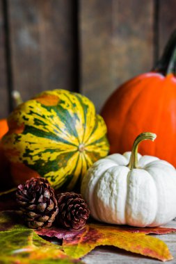 Renkli kabaklar ve rustik ahşap arka plan üzerinde sonbahar yaprakları