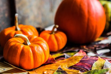 Renkli kabaklar ve rustik ahşap arka plan üzerinde sonbahar yaprakları