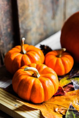 Renkli kabaklar ve rustik ahşap arka plan üzerinde sonbahar yaprakları