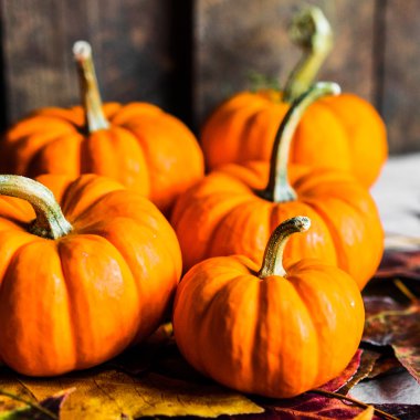 Renkli kabaklar ve rustik ahşap arka plan üzerinde sonbahar yaprakları