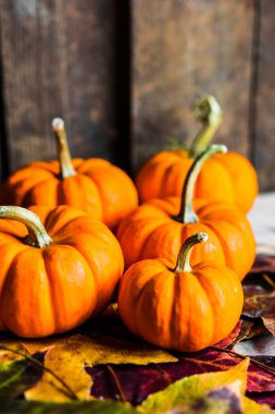 Renkli kabaklar ve rustik ahşap arka plan üzerinde sonbahar yaprakları