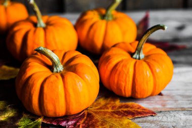 Renkli kabaklar ve rustik ahşap arka plan üzerinde sonbahar yaprakları