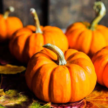 Renkli kabaklar ve rustik ahşap arka plan üzerinde sonbahar yaprakları