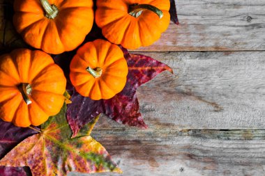 Renkli kabaklar ve rustik ahşap arka plan üzerinde sonbahar yaprakları