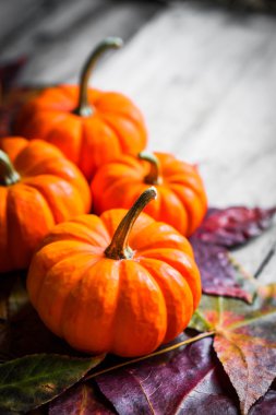 Renkli kabaklar ve rustik ahşap arka plan üzerinde sonbahar yaprakları