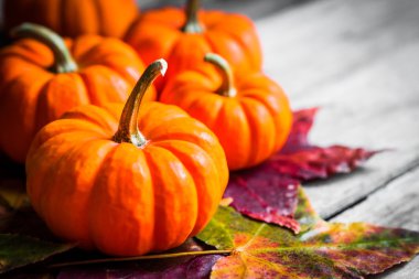 Renkli kabaklar ve rustik ahşap arka plan üzerinde sonbahar yaprakları