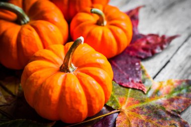 Renkli kabaklar ve rustik ahşap arka plan üzerinde sonbahar yaprakları
