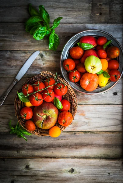 Bunte Tomaten auf rustikalem Holzgrund — Stockfoto