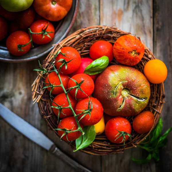 Tomates multicolores sobre fondo rústico de madera —  Fotos de Stock