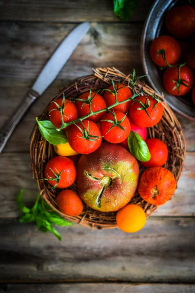 Разноцветные помидоры на деревенском деревянном фоне — стоковое фото