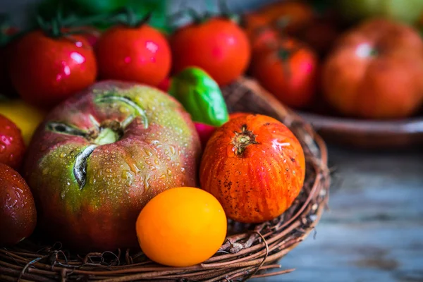 Bunte Tomaten auf rustikalem Holzgrund — Stockfoto