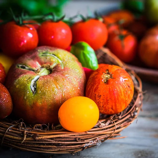 Tomates multicoloridos em fundo de madeira rústica — Fotografia de Stock