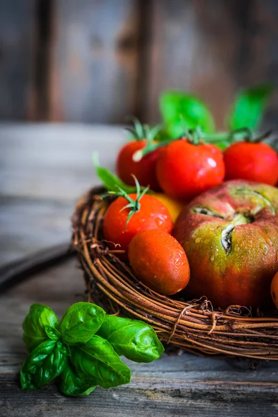 Bunte Tomaten auf rustikalem Holzgrund — Stockfoto
