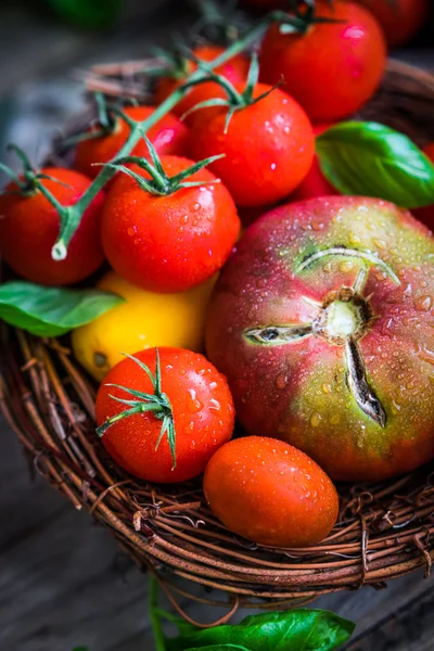 Bunte Tomaten auf rustikalem Holzgrund — Stockfoto