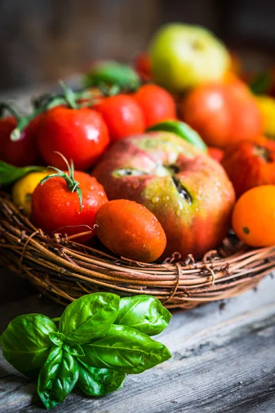 Bunte Tomaten auf rustikalem Holzgrund — Stockfoto