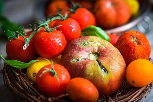 Tomates multicoloridos em fundo de madeira rústica — Fotografia de Stock