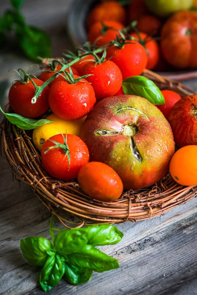 质朴的木制背景的五彩的番茄 — 图库照片