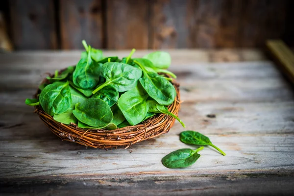 Spinaci freschi su fondo rustico in legno — Foto Stock