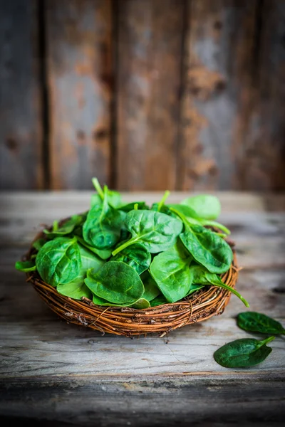 Fresh spinach on rustic wooden background — Stock Photo, Image