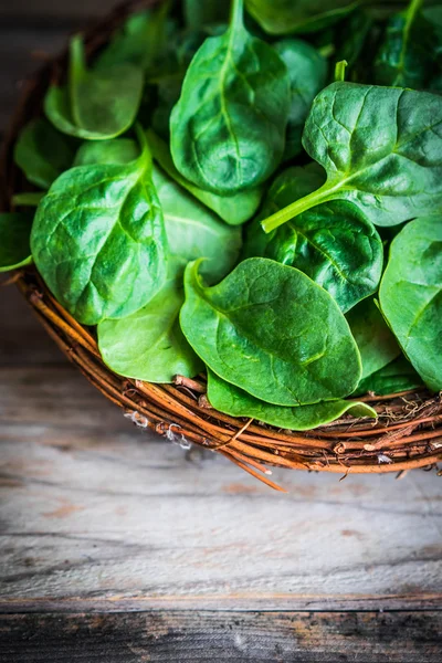 Spinaci freschi su fondo rustico in legno — Foto Stock